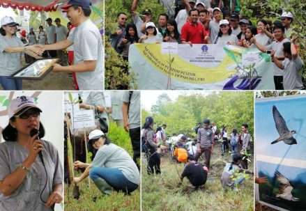 mangrove_zps244b4c71