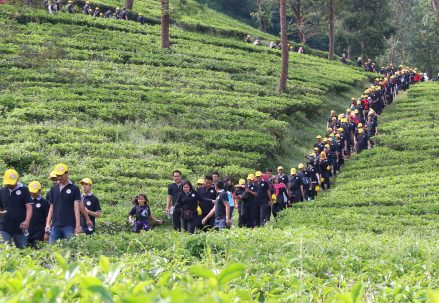 Acara_Teawalk_UT_27_Agustus_2016